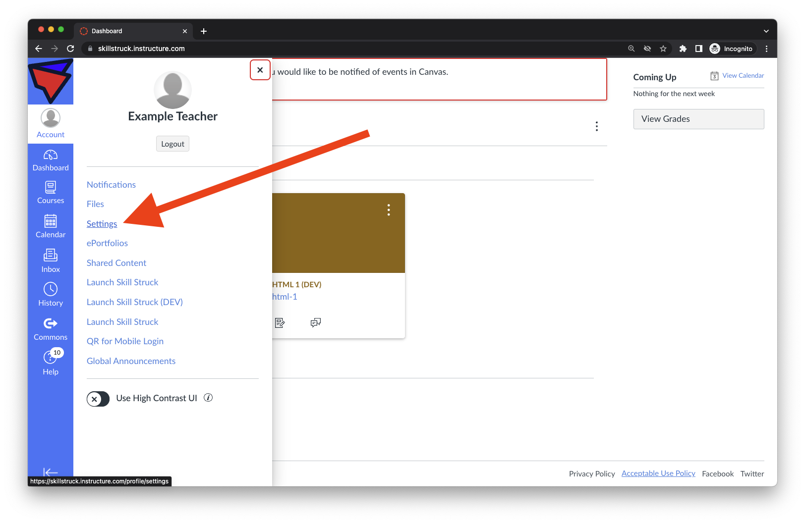 How Do I use the Canvas API?